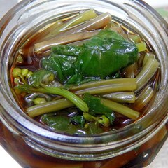 モミモミっツーン辛っ 葉ワサビの醤油漬け レシピ 作り方 By ブルーボリジ 楽天レシピ モミモミっツーン辛っ 葉ワサビの醤油漬け レシピ 作り方 By ブルーボリジ 楽天レシピ